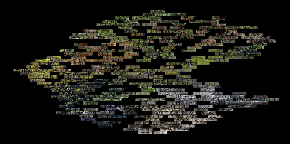 entropy string 19, Lloyd Godman
