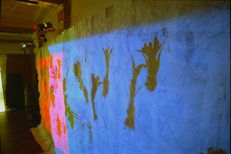light projection art work