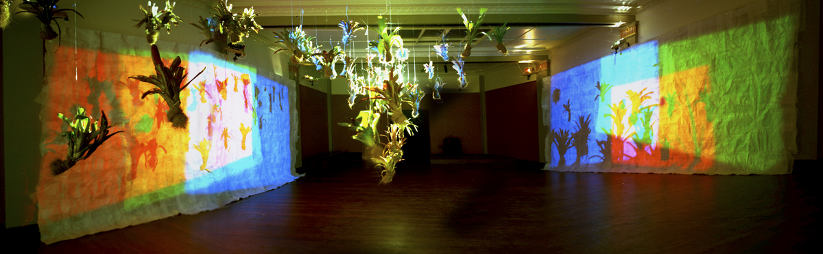 enLIGHTen projection installation