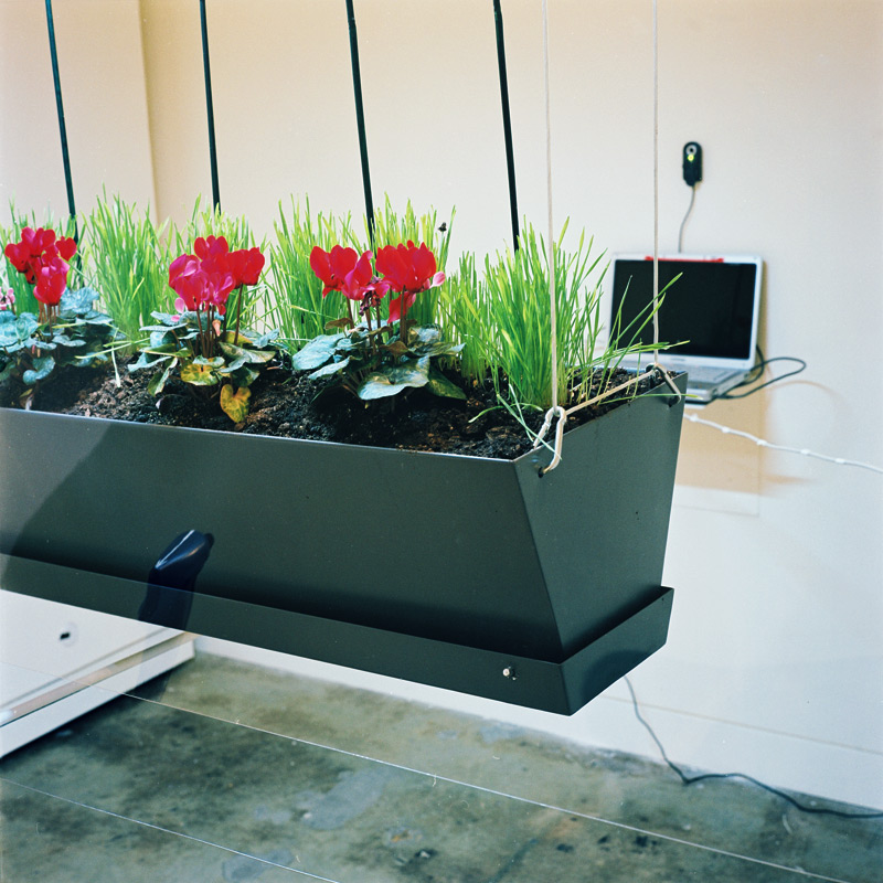 timed lapse - Lloyd Godman - the suspended plant trough in the foreground - web camera on wall and laptop recording all the images