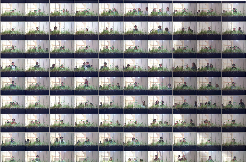 Time Lapse detail 1