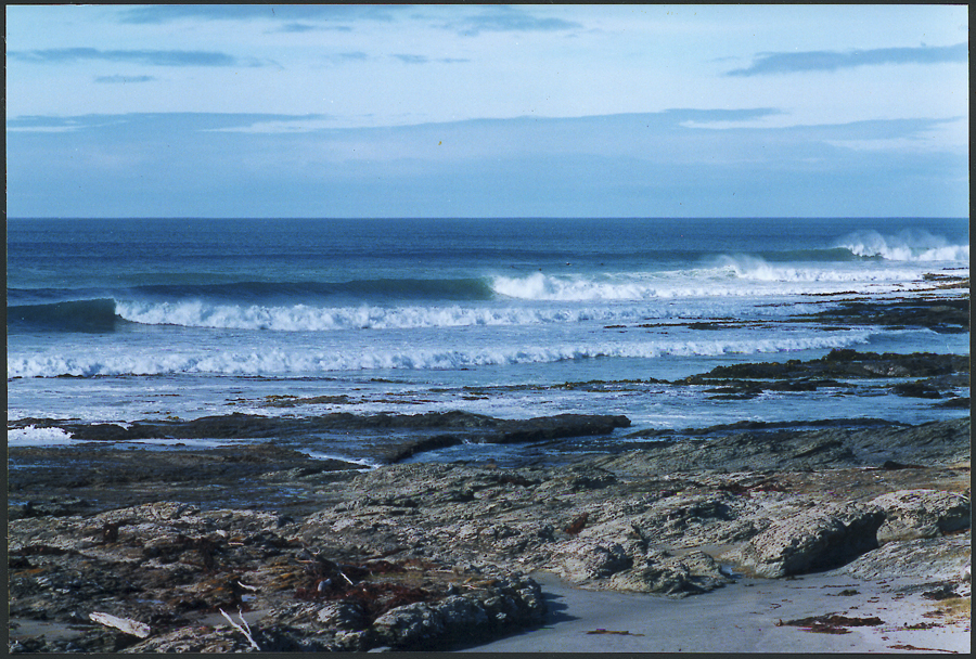 Lobsters surf break Otago New Zealand -
